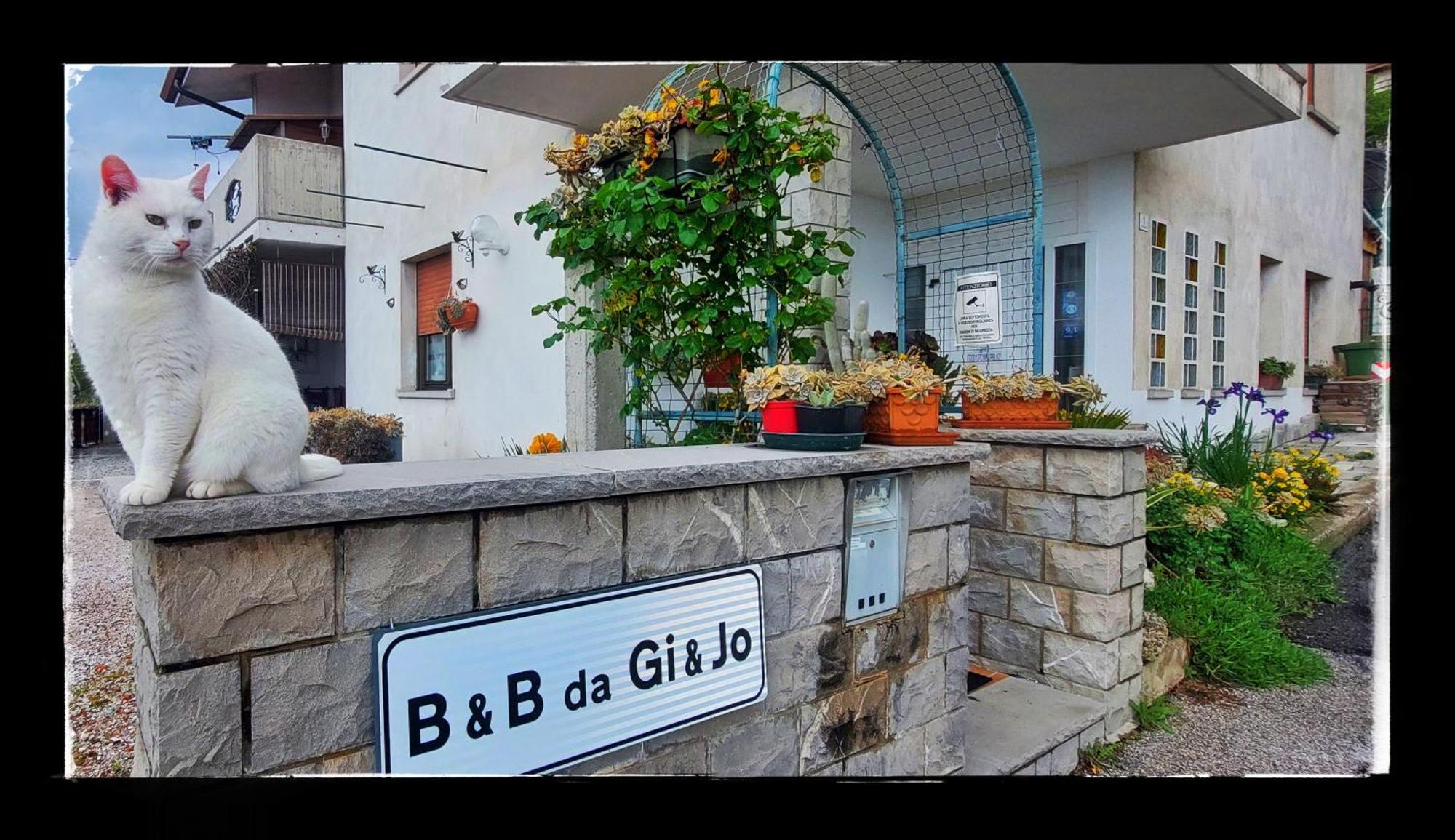 B&B Da Gi&Jo Forgaria nel Friuli エクステリア 写真